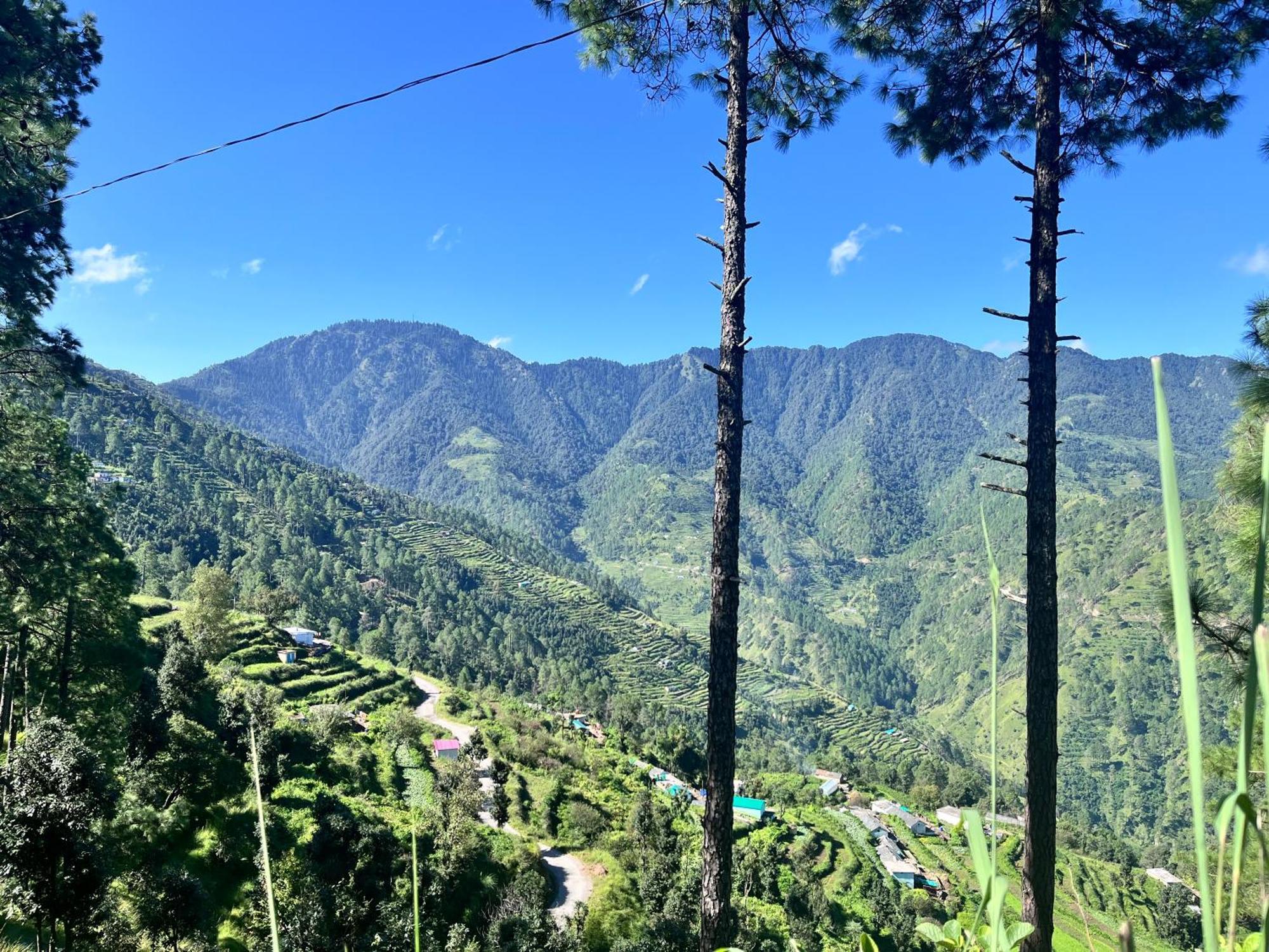 Himalayan Hill Top Resort 카나탈 외부 사진