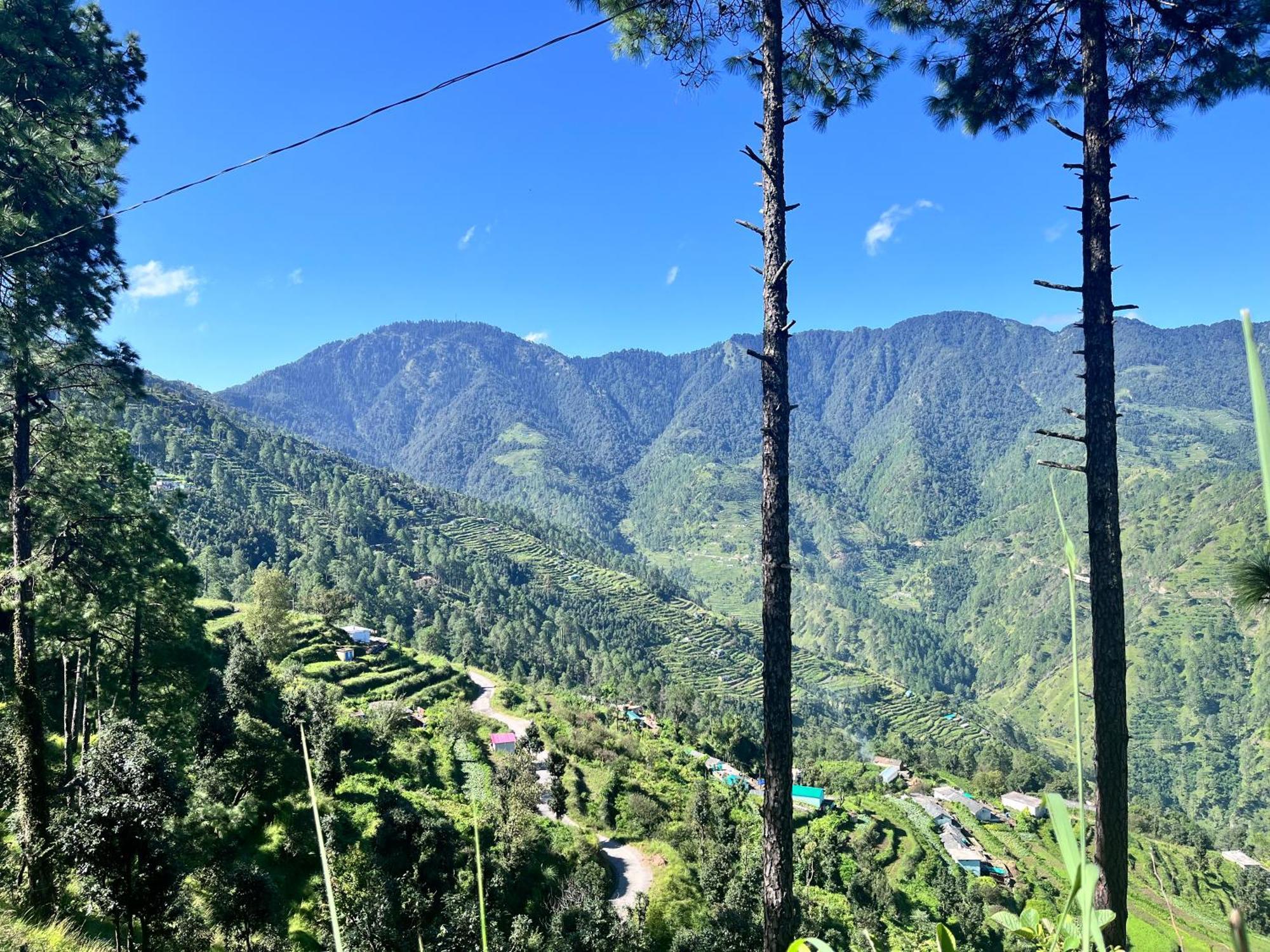 Himalayan Hill Top Resort 카나탈 외부 사진